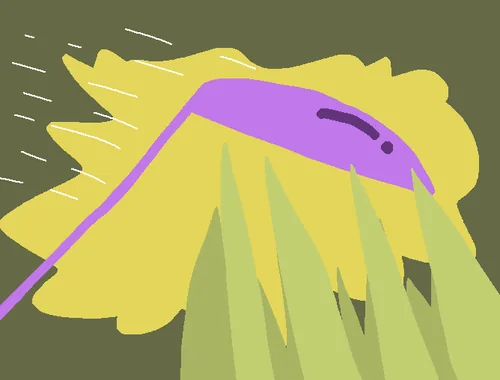 播种