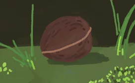 种子
