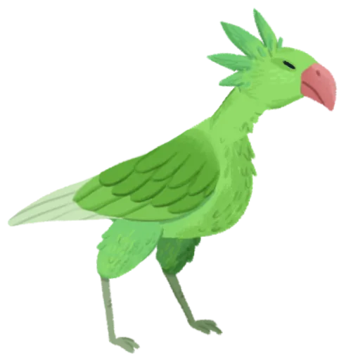 异鸟宝宝