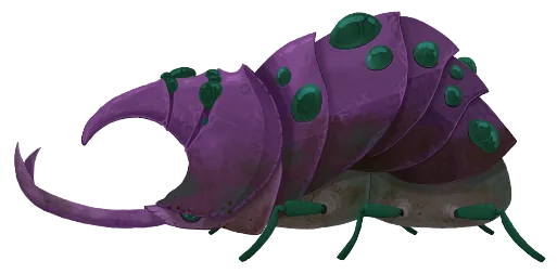 熟睡甲虫