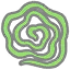 幻象