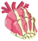 缚魂命匣