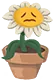 开心小花？？？