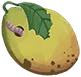 芒果？？？