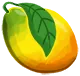 芒果