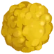 花粉核心